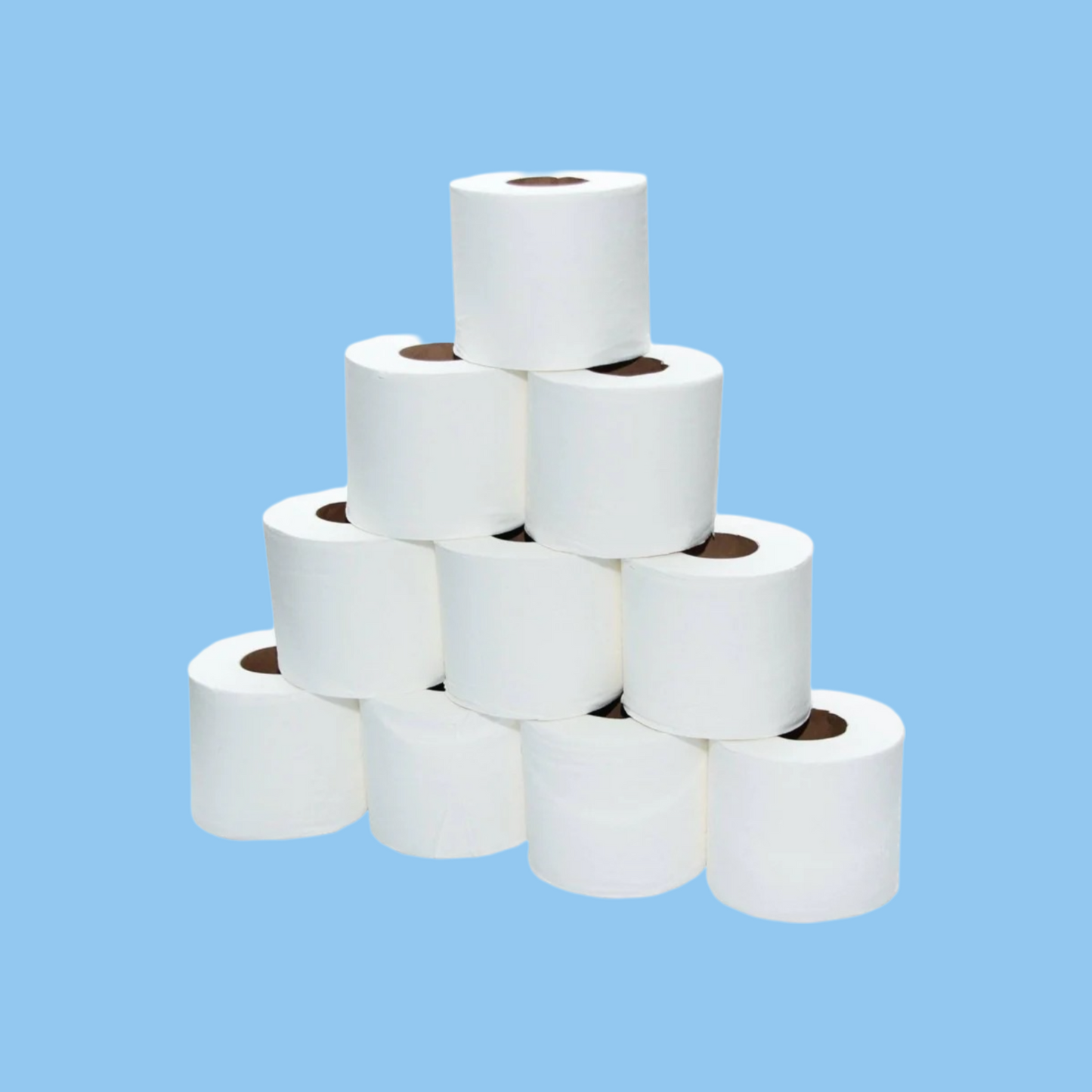 Heena's Haven Soft n Cool Tissues Rolls 2 Ply 300 Sheets 100 Rolls - Heena's Haven