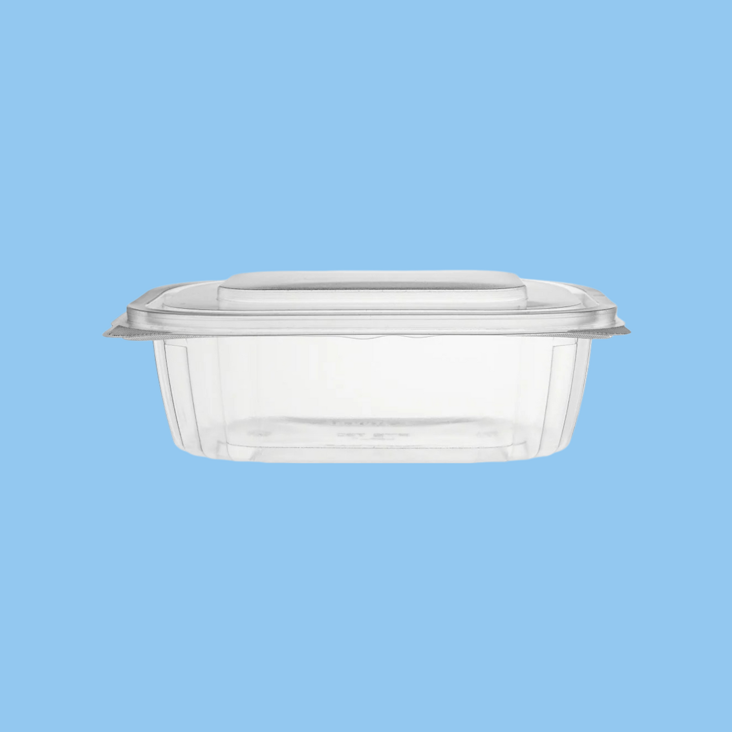 Heena's Haven Clear Pet Hinged Oval Container - Heena's Haven