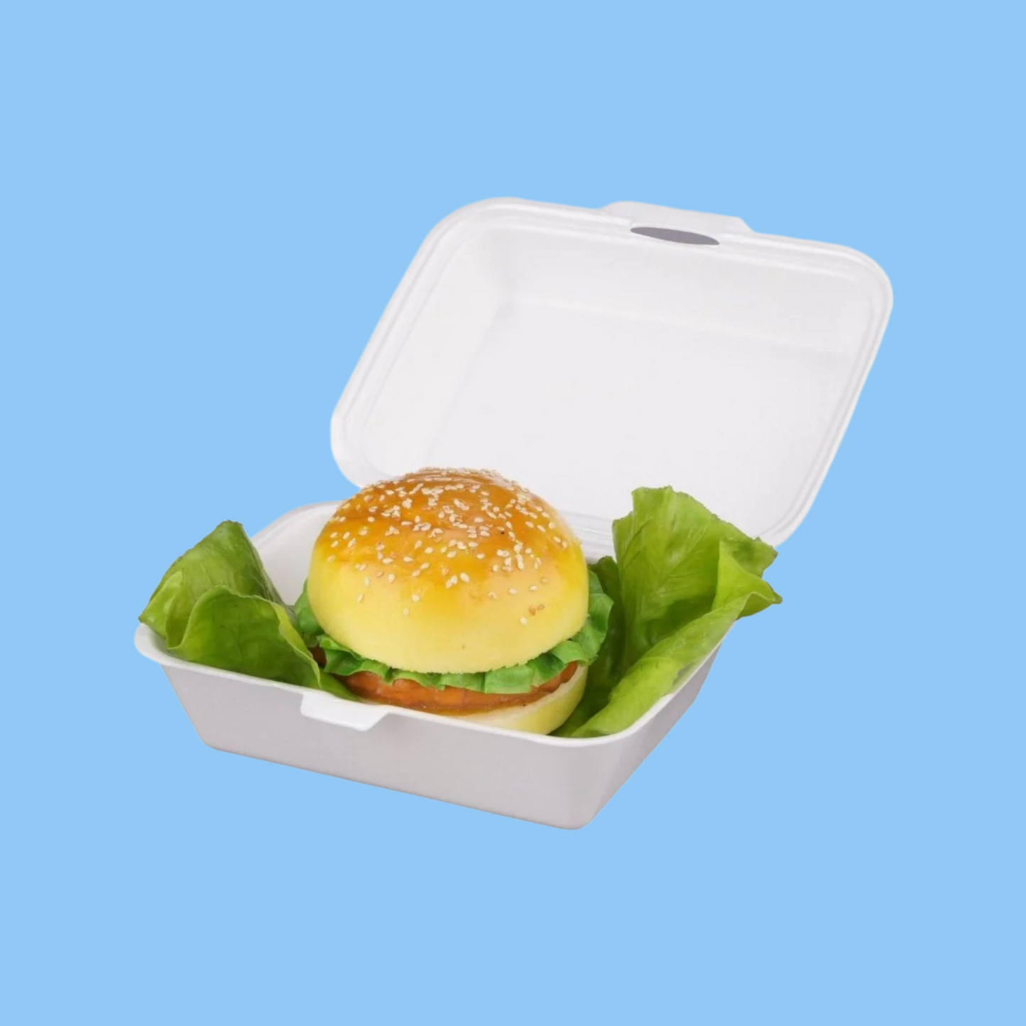Heena's Haven Foam Lunch Box - Heena's Haven
