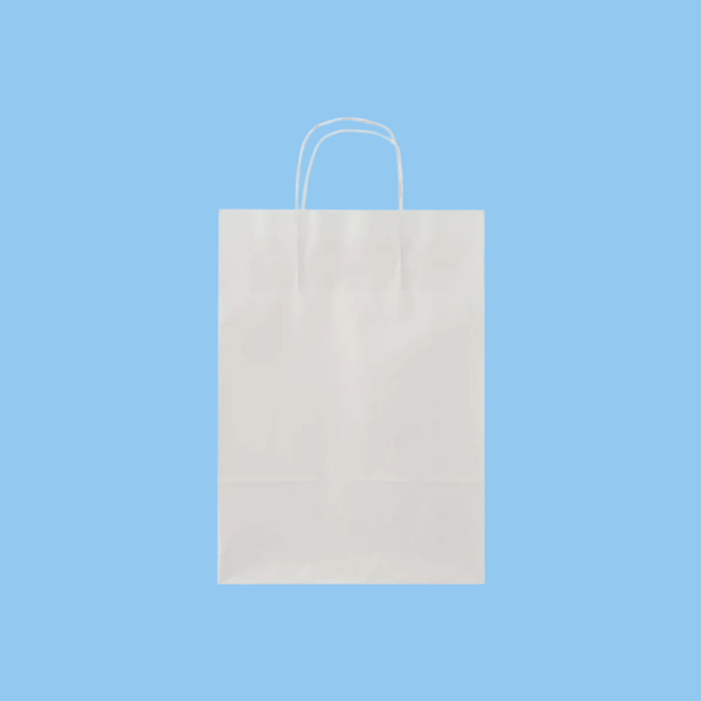 Heena's Haven White Twisted Handle Paper Bag - Heena's Haven