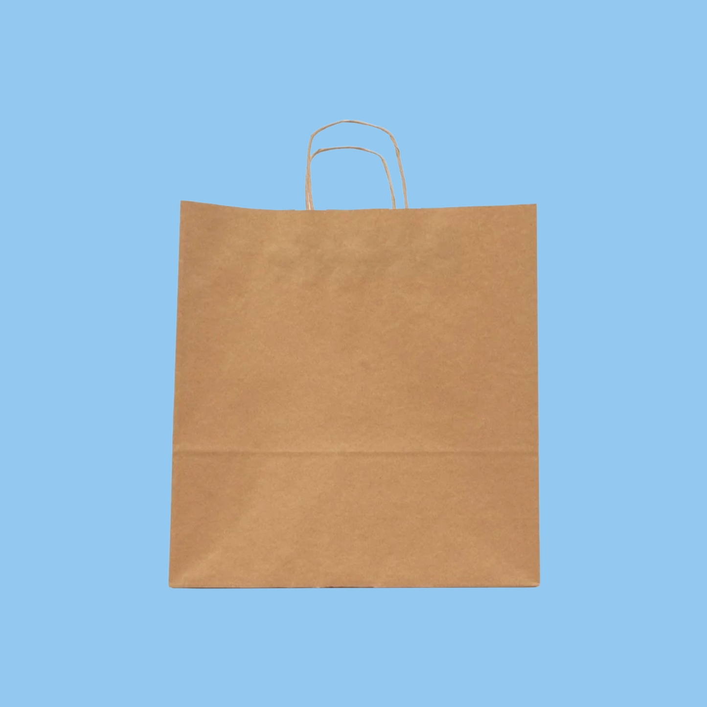 Heena's Haven Twisted Handle Kraft Brown Paper Bag 25 Pieces - Heena's Haven