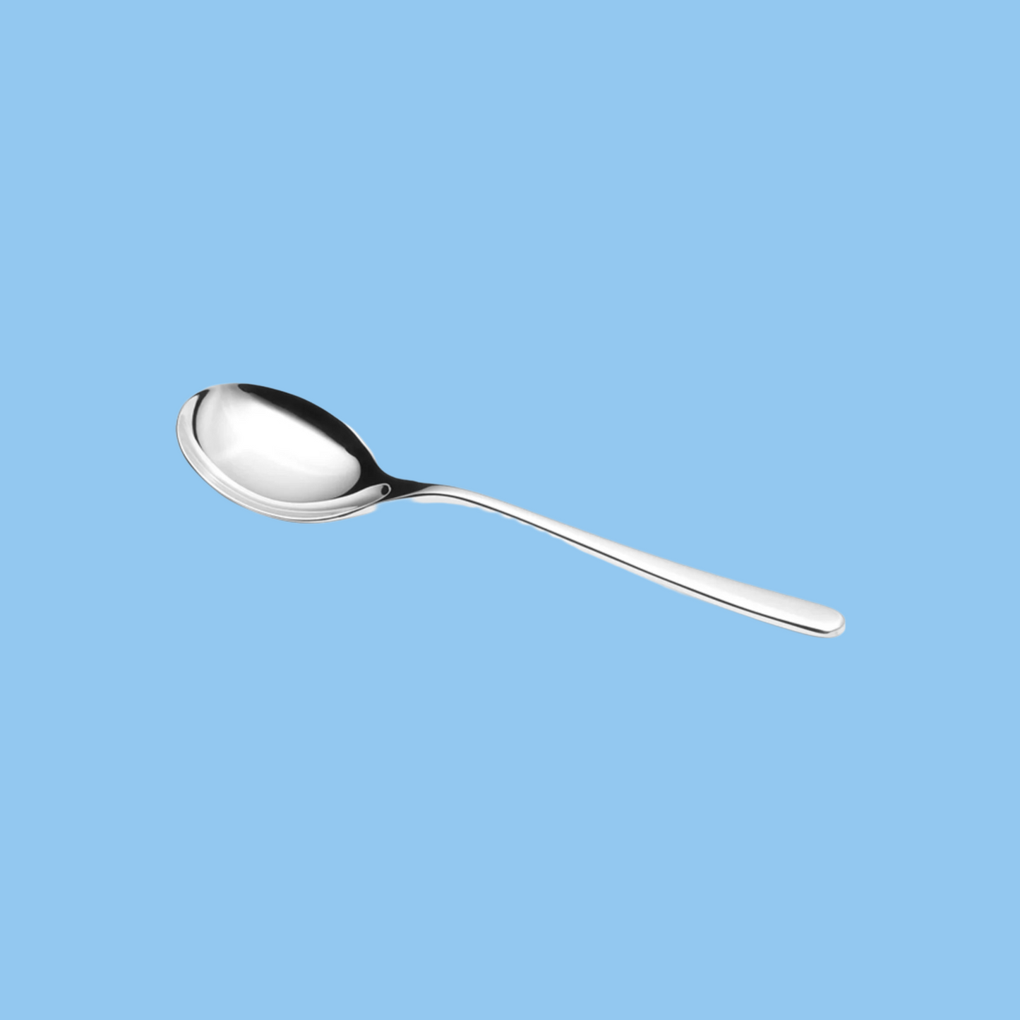 Heena's Haven 6 Piece Plano Stainless Steel Serving Spoon Set - Heena's Haven