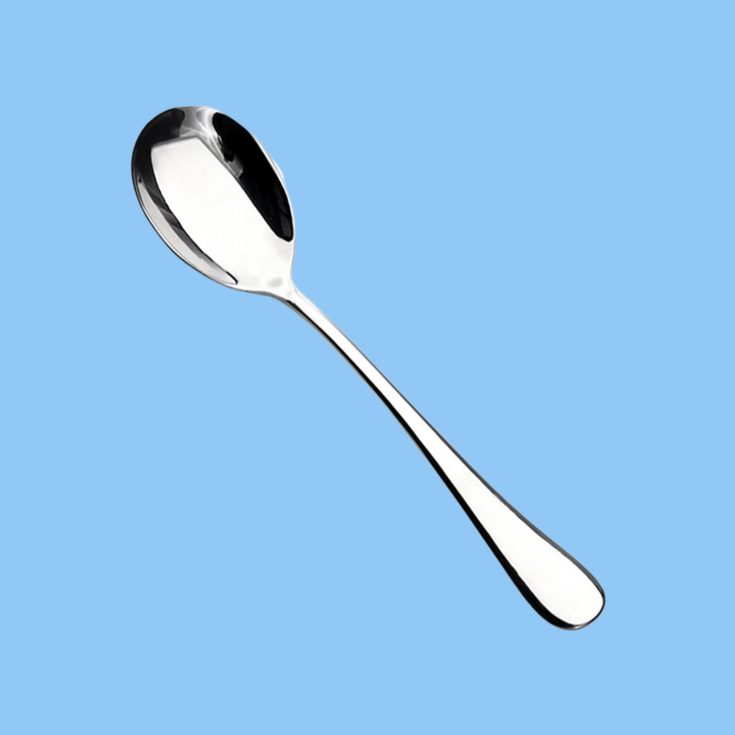 Heena's Haven 6 Piece Plano Stainless Steel Serving Spoon Set