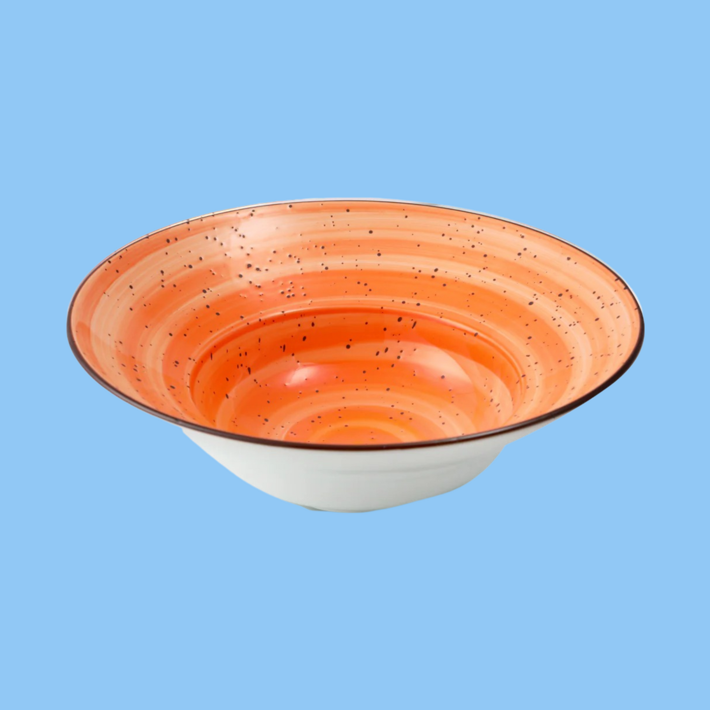 Heena's Haven Color Glaze Porcelain Pasta & Soup Plate