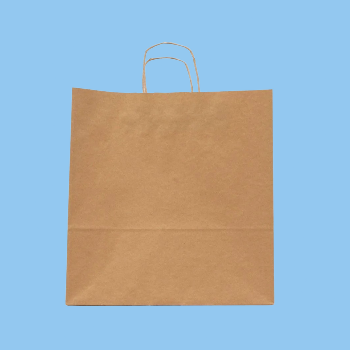 Heena's Haven Brown Paper Bag 250 Pieces - Heena's Haven