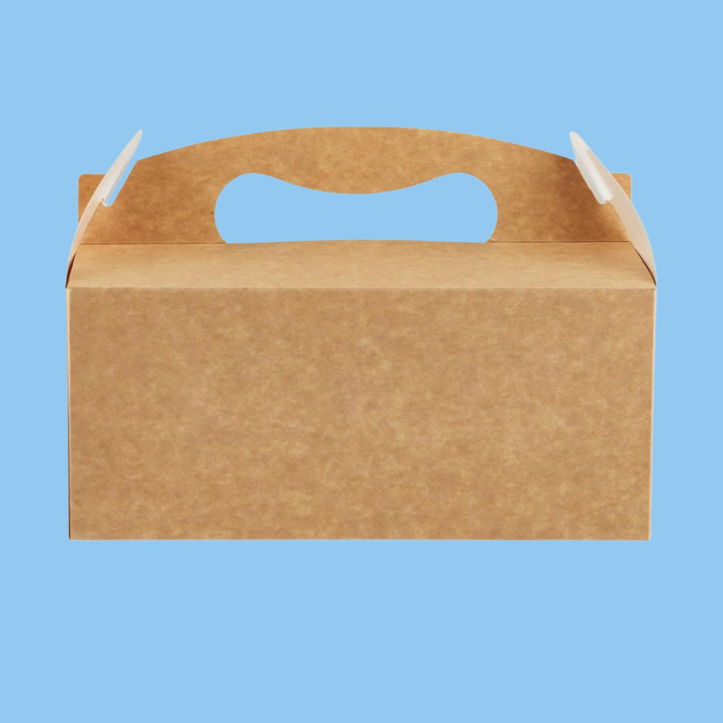 Heena's Haven Carry Meal Box - Heena's Haven