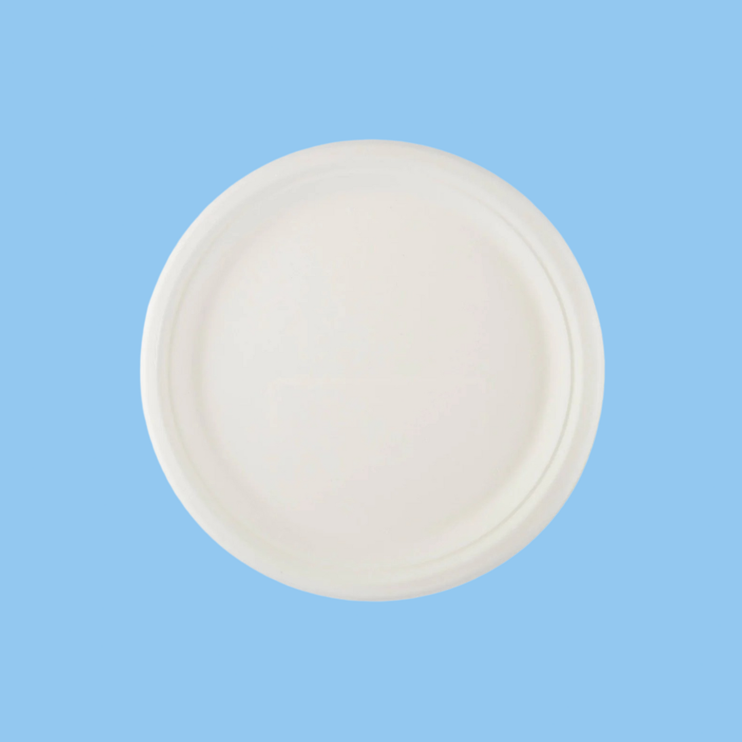 Heena's Haven Bio-Degradable Plate 10 Inch 500 Pieces - Heena's Haven