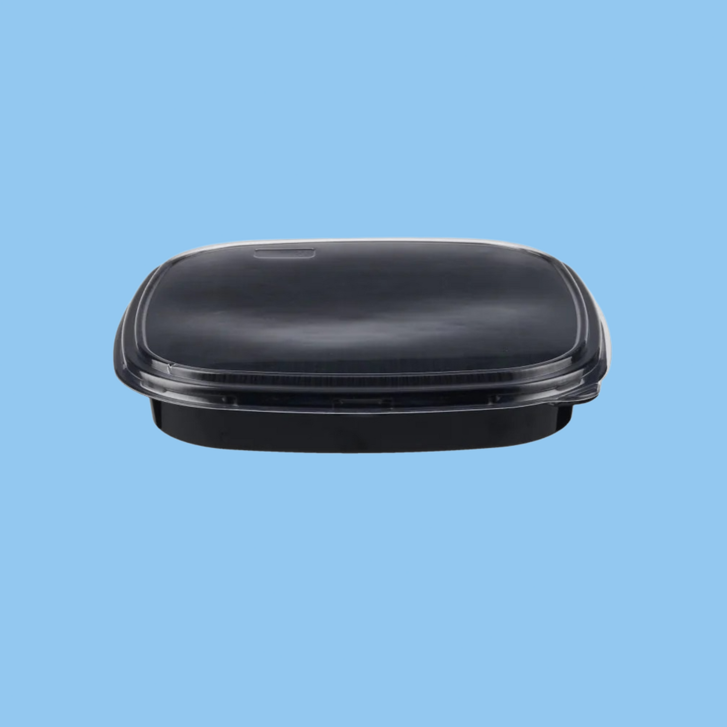 Heena's Haven Square Shape Sushi Container With Lid - Heena's Haven