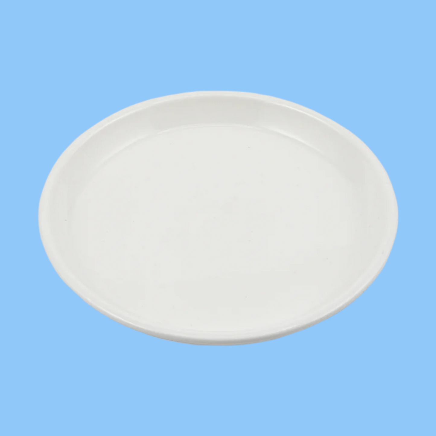 Heena's Haven Ivory Porcelain Round Flat Plate 9