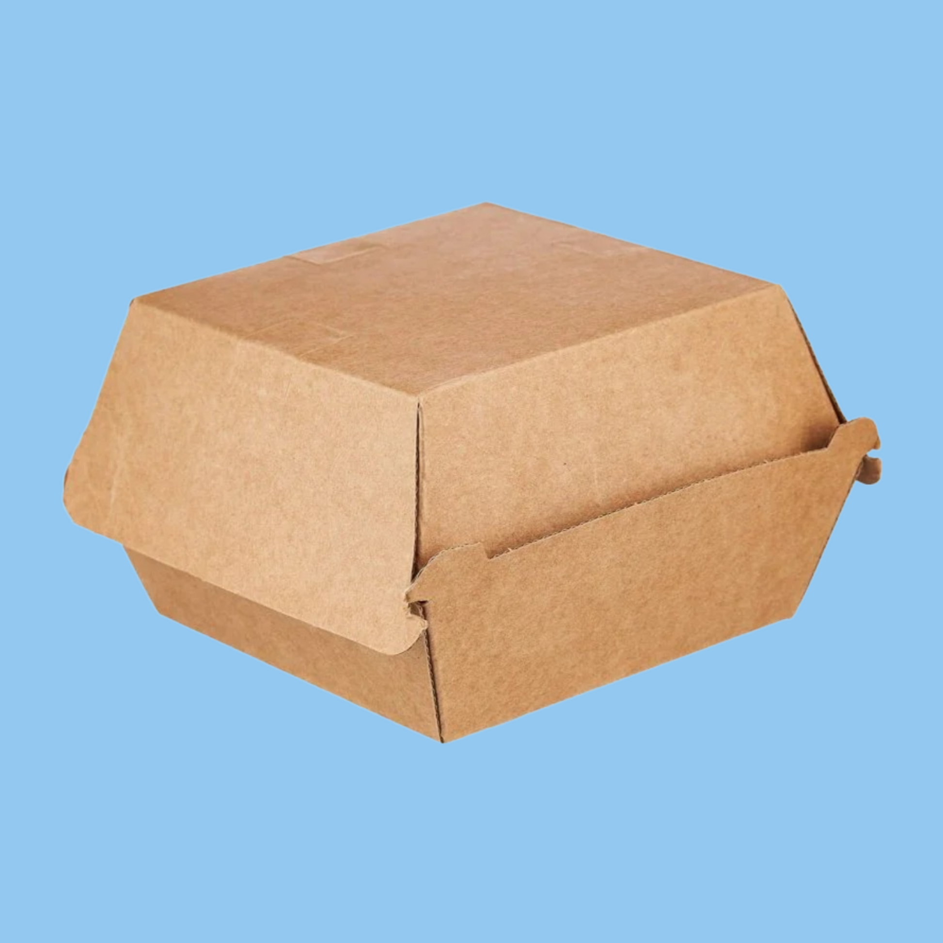 Heena's Haven Flute Burger Box - Heena's Haven