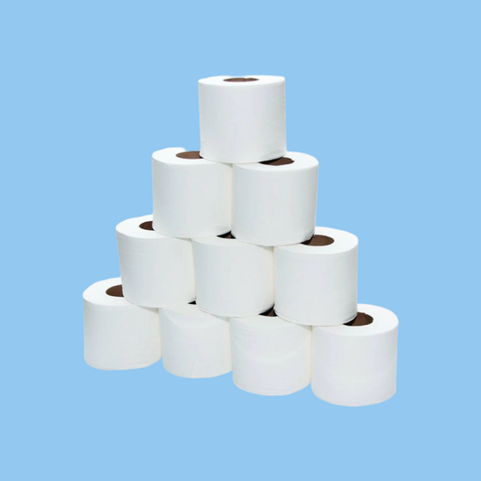 Heena's Haven Soft n Cool Tissues Rolls 2 Ply 300 Sheets 100 Rolls - Heena's Haven