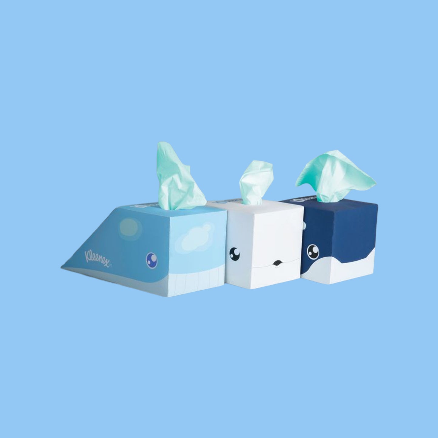 Custom Tissue Box Packaging – Wholesale B2B Supplier UAE