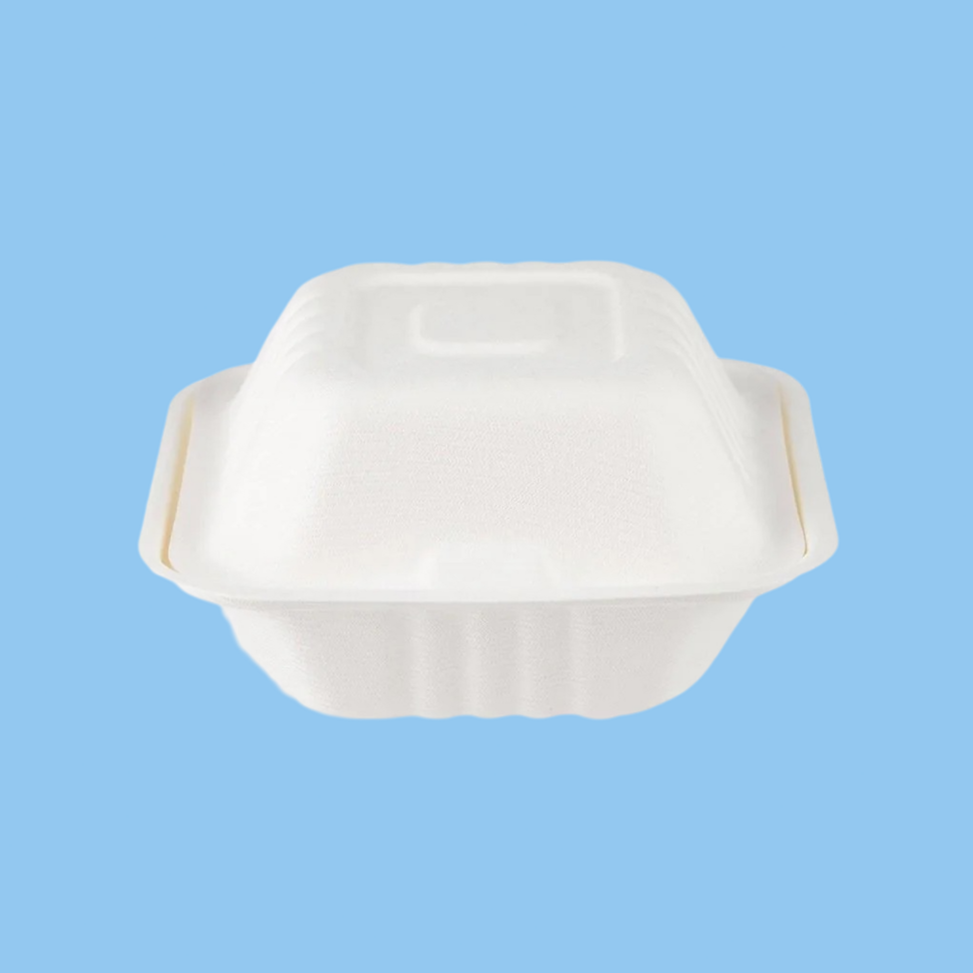 Heena's Haven Bio Degradable Burger Box 6 inch 500 Pieces - Heena's Haven