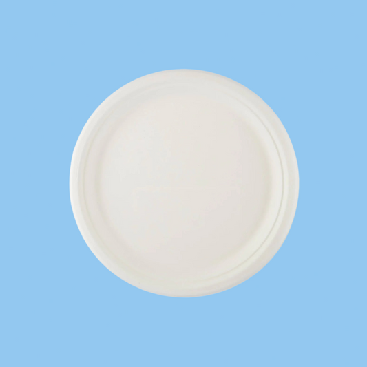 Heena's Haven Bio-Degradable Plate 10 Inch 500 Pieces - Heena's Haven